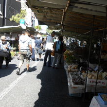 日傘は使えないので、晴天時は帽子が必要ですよ