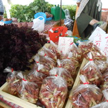 みょうが、安い！