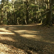 道幅が広く道標も完備されている