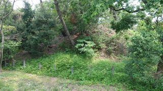 仁徳天皇陵古墳の真ん前に