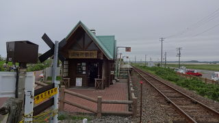 今回もハズレ、花が咲いていない