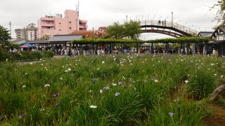 シーズン終わり