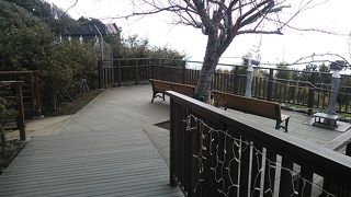 １ヶ所て花と海の景色を両方楽しめます