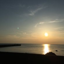 越前水仙の里公園