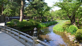 兼六園内は見所だらけ