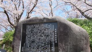 天童城を感じるには天童公園の東側山域がおススメ