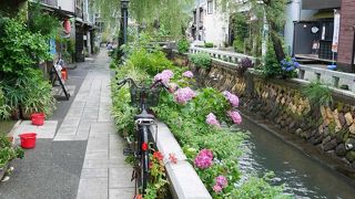 下田観光ならまずペリーロード