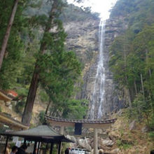 見上げる那智の滝。
