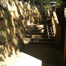 深大寺の北側にある開山堂への通路です。石段が少しあります。