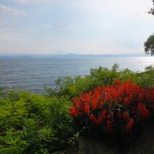 猪苗代湖の広さが実感できます