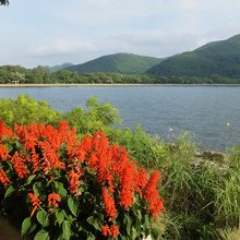 ビーチが一直線に見えます。