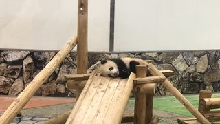 イベントが盛り沢山！1日過ごせるテーマパーク