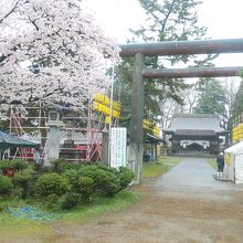 公園内から入る中の鳥居です