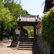 室生寺に行く途中にあるしだれ桜の咲く寺院