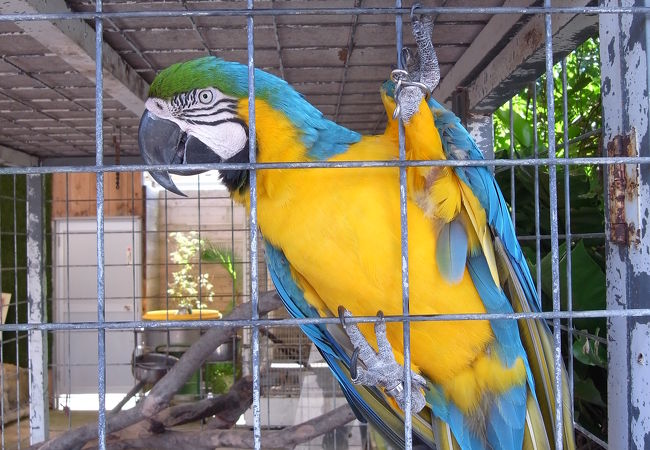 サイトで発見したミニミニ動物園に行ってみた～