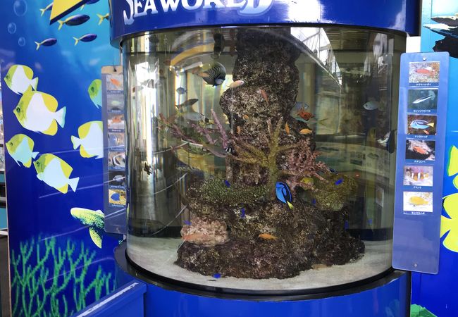 安房鴨川駅 クチコミ アクセス 営業時間 鴨川 フォートラベル