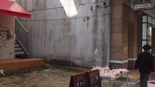 グリーン ラビット