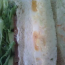 ひとパック３０２円です。