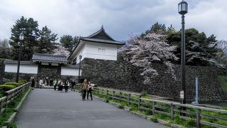 夏草や兵どもが夢の跡＝草ぼうぼうの門