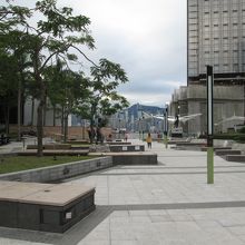 尖沙咀東海濱平台花園/ガーデン オブ スターズ (星光花園)