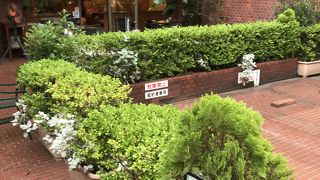 コーヒーはお代わり自由