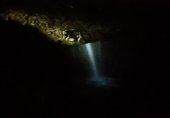 洞窟に光る土ボタル