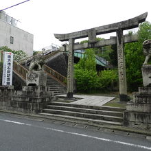 入口の目印はこの鳥居です