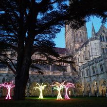 回廊中庭のイルミネーション