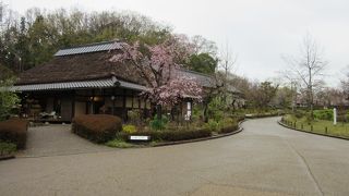 日本昭和村と言われていた事があるのも頷ける、昭和時代の里山を彷彿させる素敵な公園