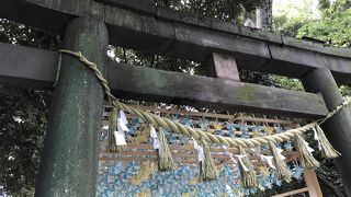初めてがいっぱいな神社・川越氷川神社