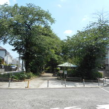 幅はこのように狭く、用水なので高さも周辺よりもやや高い。