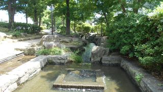 駅名になるほどの公園なので期待したが