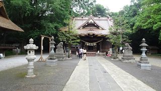 たましき公園とセットで