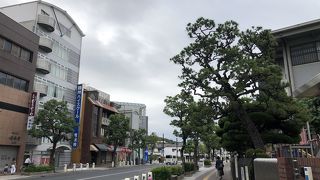 駅前からのびる通りです