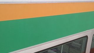 2019年３月３日の横浜11時32分発湘南新宿ライン快速宇都宮行きの様子について