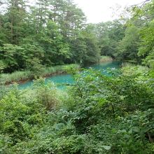 周囲に少し「赤色」を感じる、かなあ。