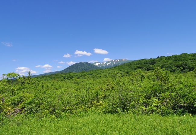 世界谷地原生花園 クチコミ アクセス 営業時間 栗駒 栗原 フォートラベル