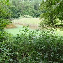 このような湖がいくつも。