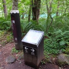 案内板もしっかり。