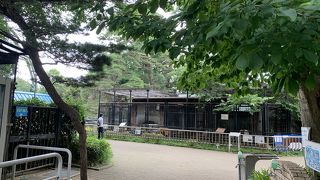 無料でこの内容はすごい