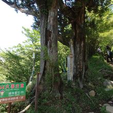 富士見台　富士山は見えませんでした