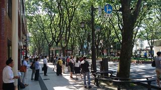 杜の都仙台を代表する通り