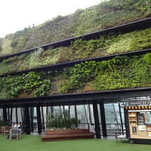 グリーーンフエンス？