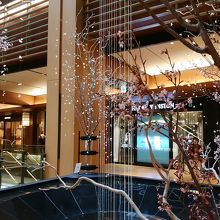 建物内にも自然が取り入れられています。