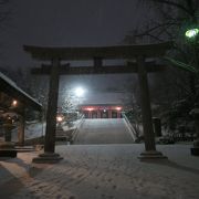 雪降る夜はなかなかの雰囲気