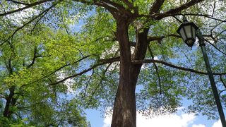 正門を入ってすぐ