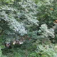 休憩室からの眺め