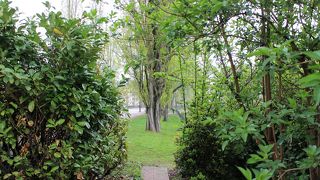 新緑のルイーズ ワイス公園