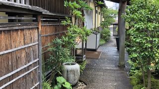 梅の花 長久手