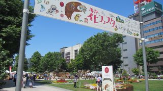 よさこいの後の大通公園のイベント